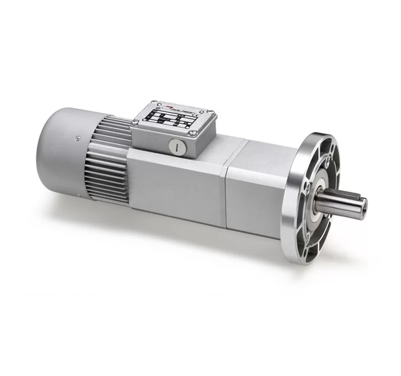 fi-reduktor-mini-motor-ac-monofaze-PAE